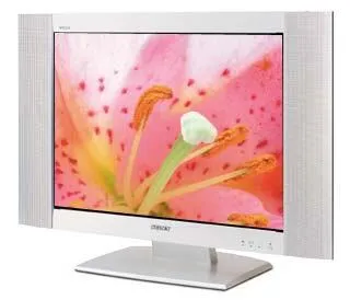 Sony Flat Panel 21" KLV-21SG2 XGA Gümüş TV Televizyon (TV)