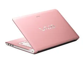 Sony VAIO SVE14123CN (E14123CNP) Laptop & Notebook