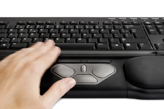 BakkerElkhuizen Rollermouse Pro2 Ofis İki elini de kullanabilen USB Type-A + PS/2 İztopu Optik Mouse Thumbnail 2