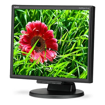 NEC MultiSync E171M-BK PC düz (E171M BK) Monitör