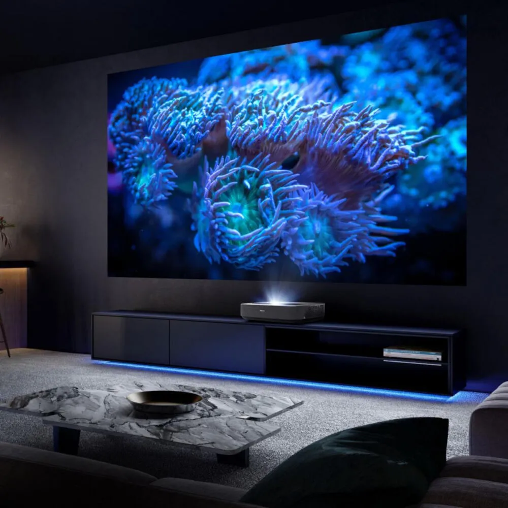 Hisense PL1SE 20011245 Thumbnail 7