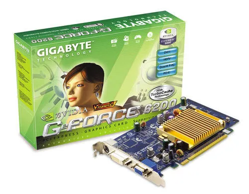 GIGABYTE GV-NX62TC256DE NVIDIA GeForce 6200 GDDR Ekran Kartı