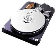 Samsung 250Gb SATA II 300Mbps 7200rpm 8Mb 20pk Serial ATA II Dahili Sabit Disk (HDD)
