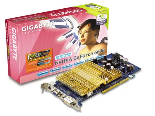 GIGABYTE GV-N66256DP NVIDIA GDDR Ekran Kartı