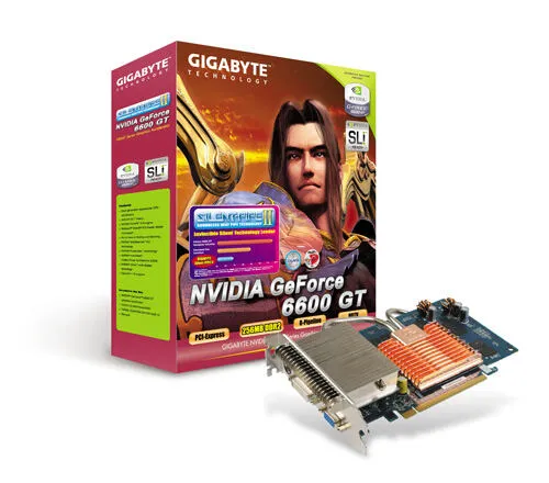 GIGABYTE GV-NX66T256DE NVIDIA GDDR2 Ekran Kartı