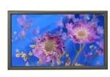 NEC PLASMASYNC 61XM2 61INCH silver Gümüş TV Televizyon (TV)
