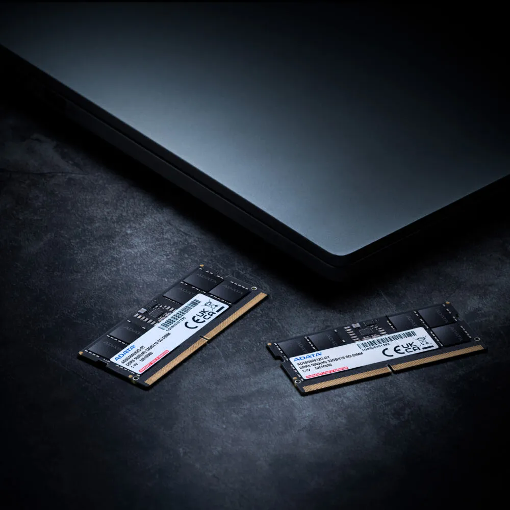 AD5S560024G-S RAM Bellek Thumbnail 1