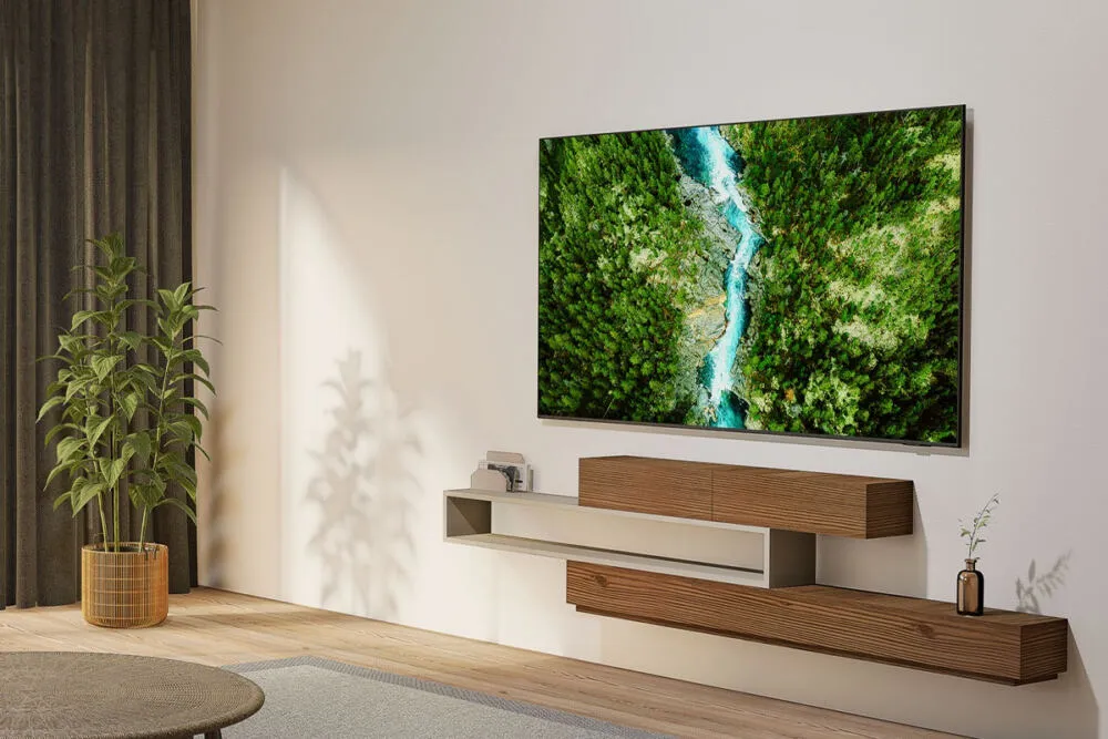 Samsung TU65U8005FUXXC 65 inç 4K Ultra HD TV Thumbnail 1