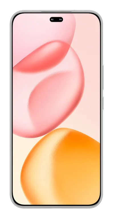 Honor 400 Pro 17 cm (6.7") Hibrid Çift SIM MagicOS 9.0 5G USB C Tipi 12 GB 512 GB 6000 mAh Gri Akıllı Telefon