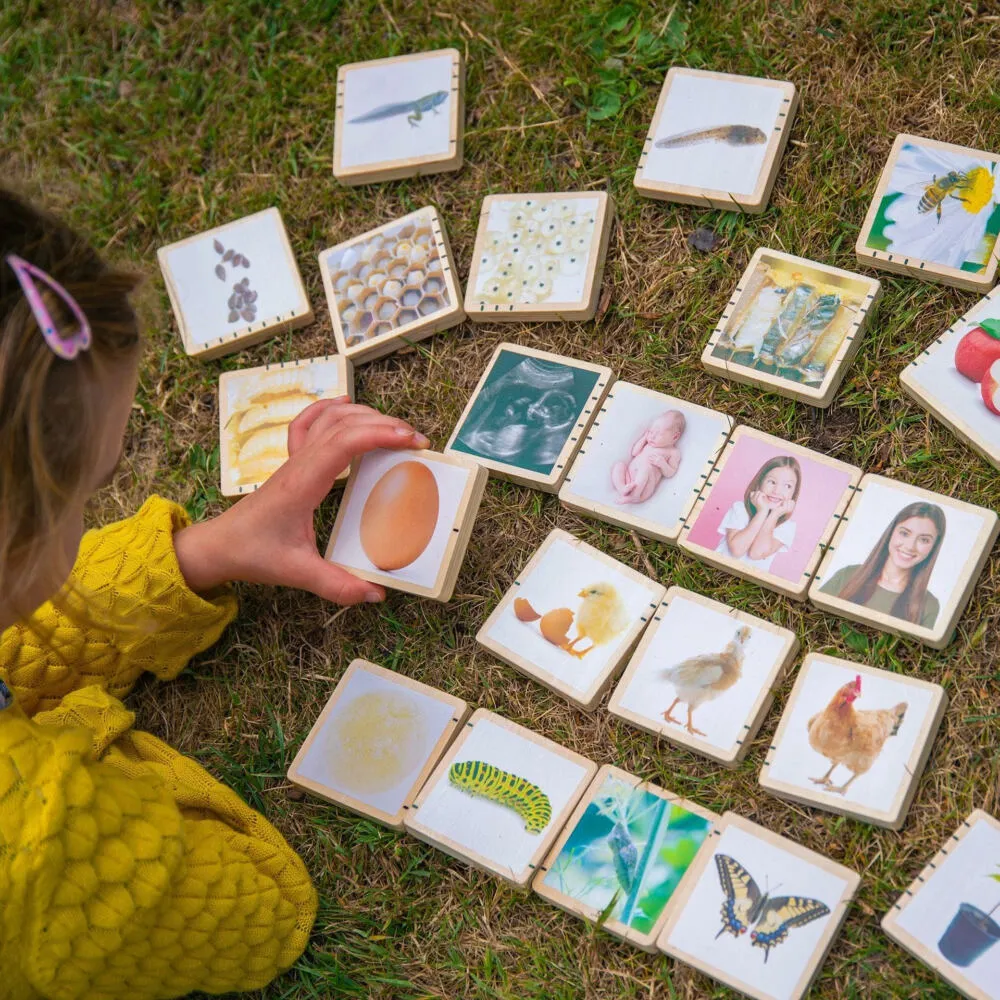 Tickit Wooden Lifecycle Tiles 73522 Thumbnail 6