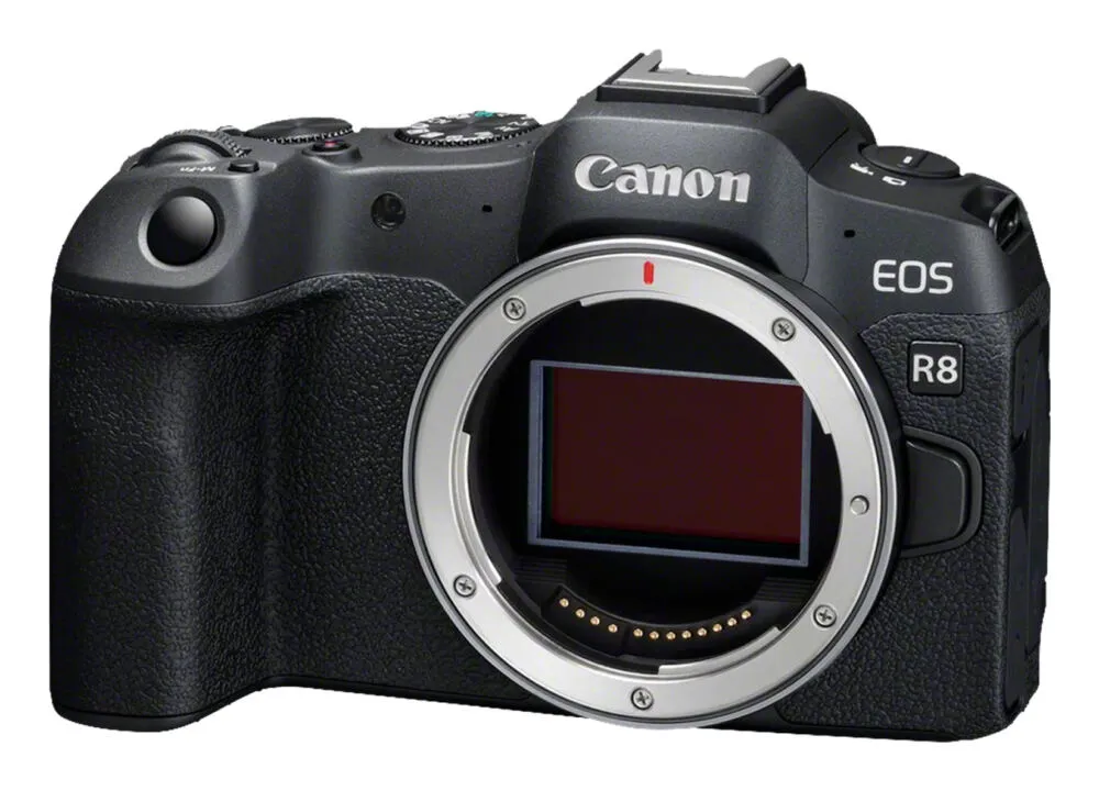 Canon EOS R8 + RF 24-105mm F4-7.1 IS STM 5803C095 Thumbnail 11