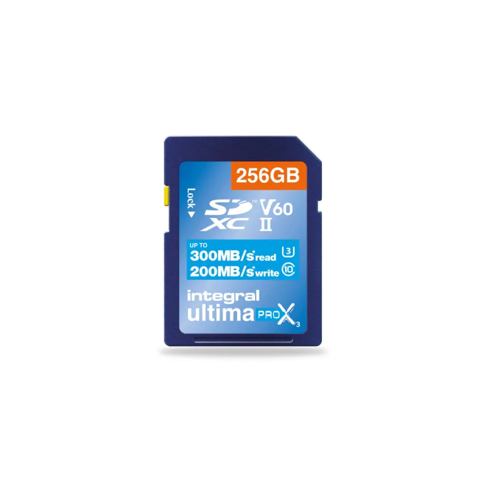Integral INSDX256G-300/200U2 Thumbnail 1