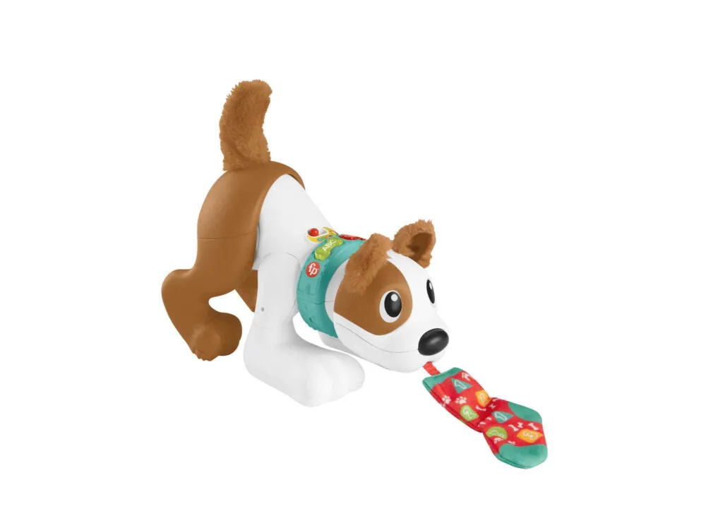 Fisher-Price HHH14 öğrenme oyuncağı Eğitici Oyuncak