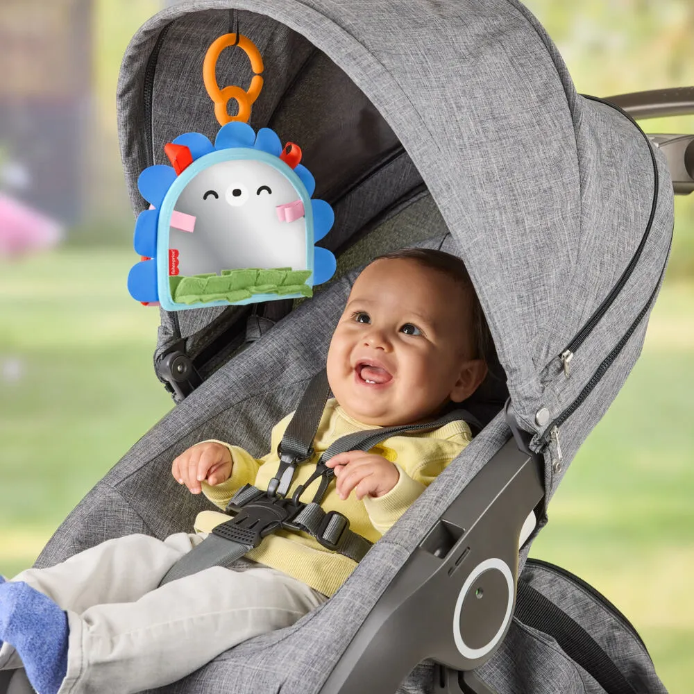 Fisher-Price JHB45 Öğrenme Oyuncakları Thumbnail 8