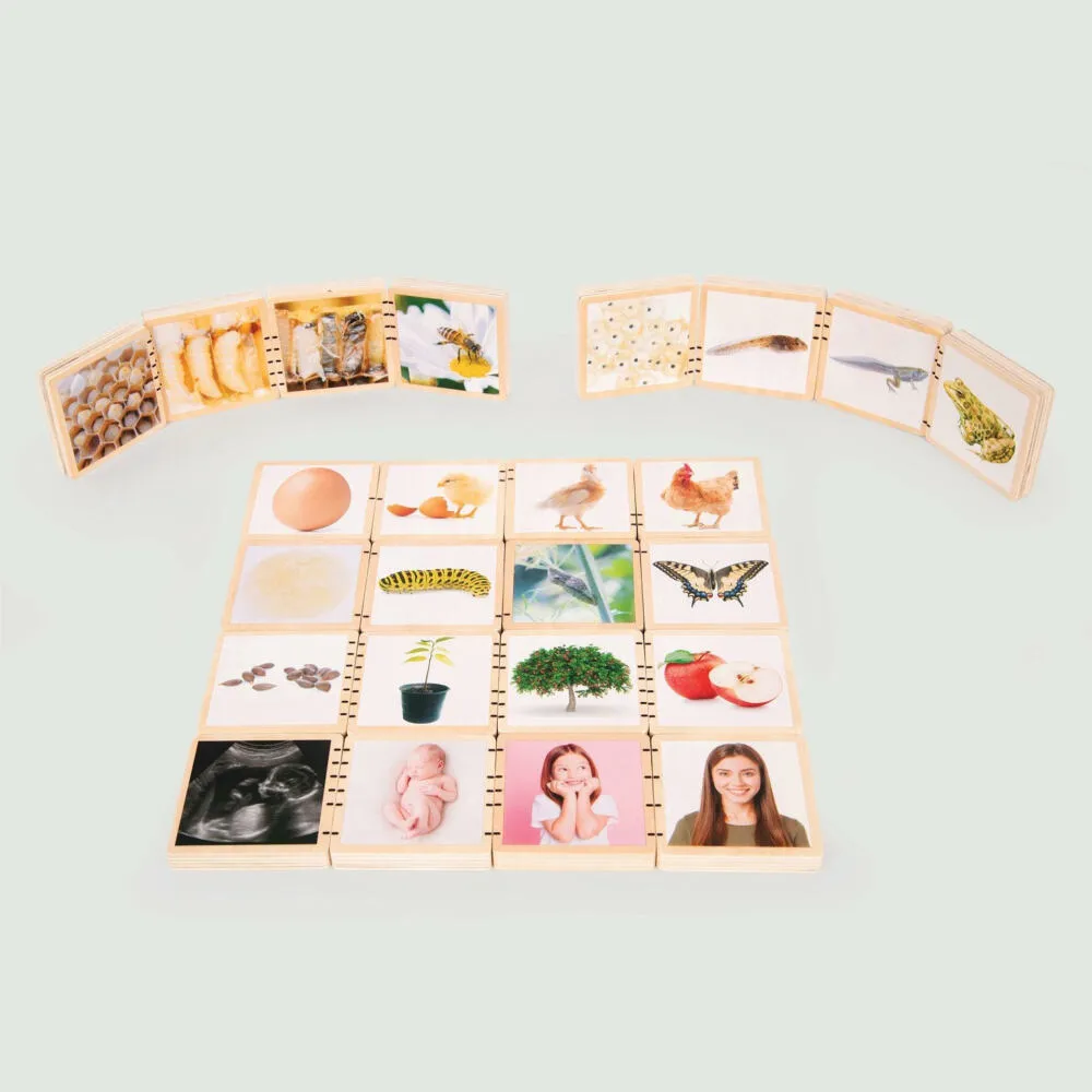 Tickit Wooden Lifecycle Tiles 73522 Thumbnail 10