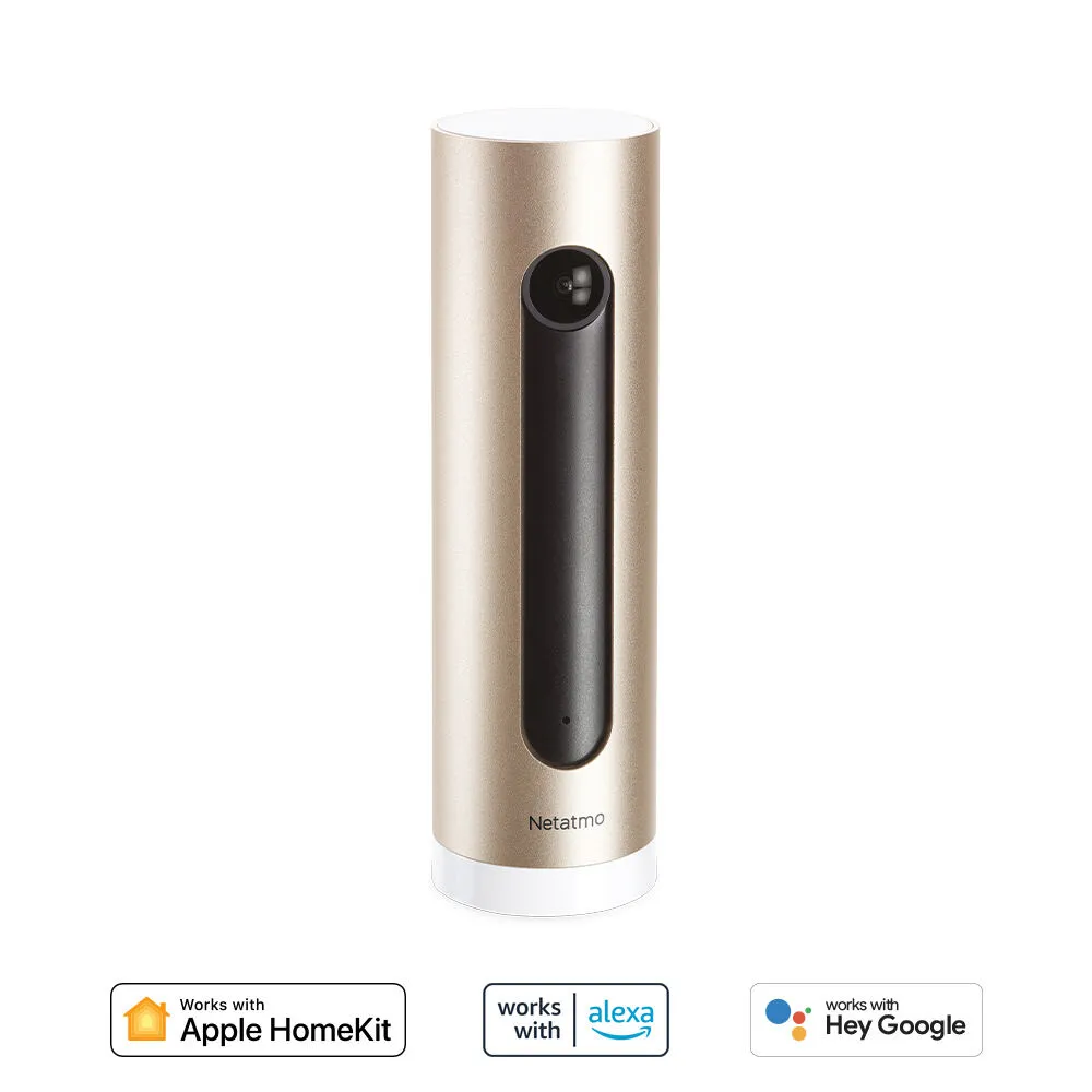 Netatmo NSC-IT security camera Küresel Bina içi 1920 x 1080 Piksel Masa Güvenlik Kamerası