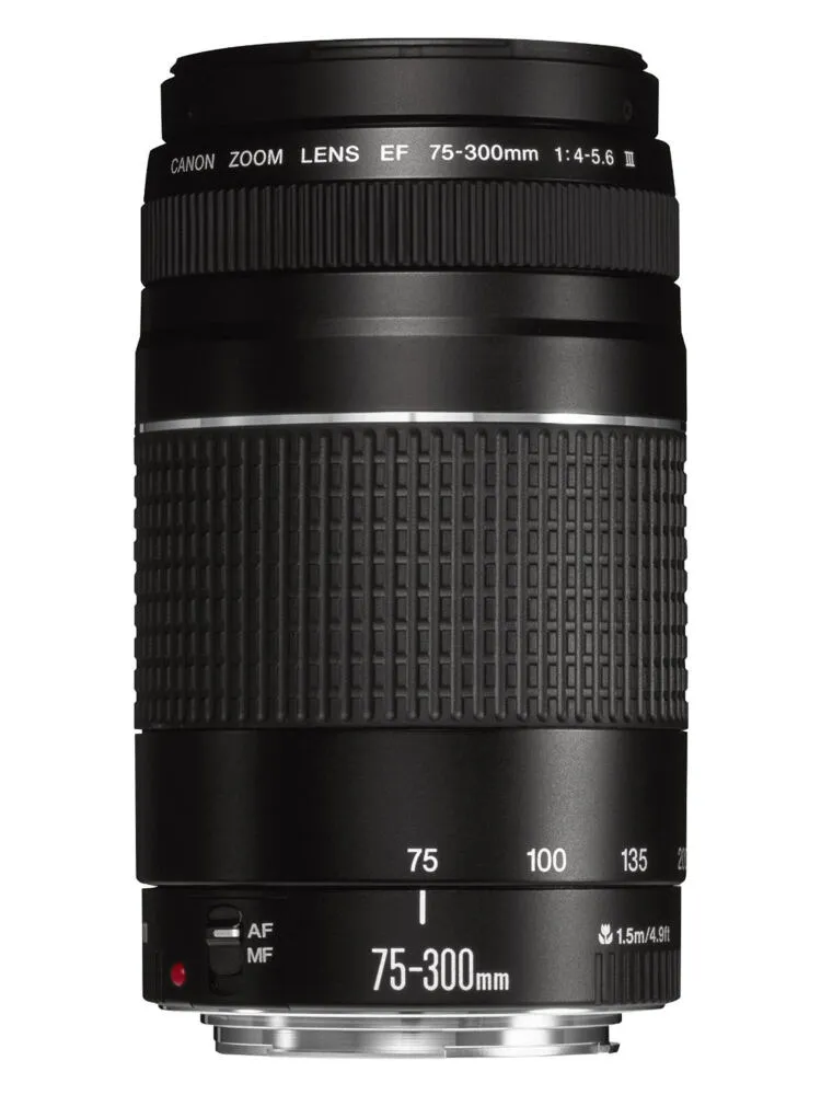 Canon EOS Rebel T6 EF-S 18-55mm + EF 75-300mm 1159C008 Thumbnail 10