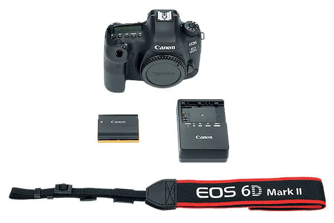 Canon 6D Mark II + 24-70mm IS USM 1897C015 Thumbnail 9