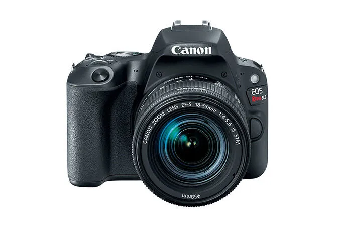 Canon Rebel SL2 + EF-S 18-55mm f/4-5.6 2249C002 Thumbnail 6