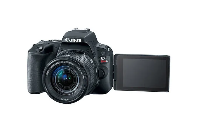 Canon Rebel SL2 + EF-S 18-55mm f/4-5.6 2249C002 Thumbnail 4