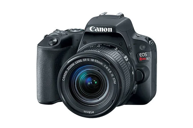 Canon Rebel SL2 + EF-S 18-55mm f/4-5.6 2249C002 Thumbnail 2