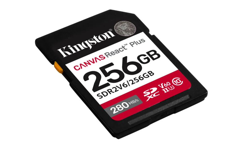 Kingston Technology Canvas React Plus SDR2V6/256GB Thumbnail 1