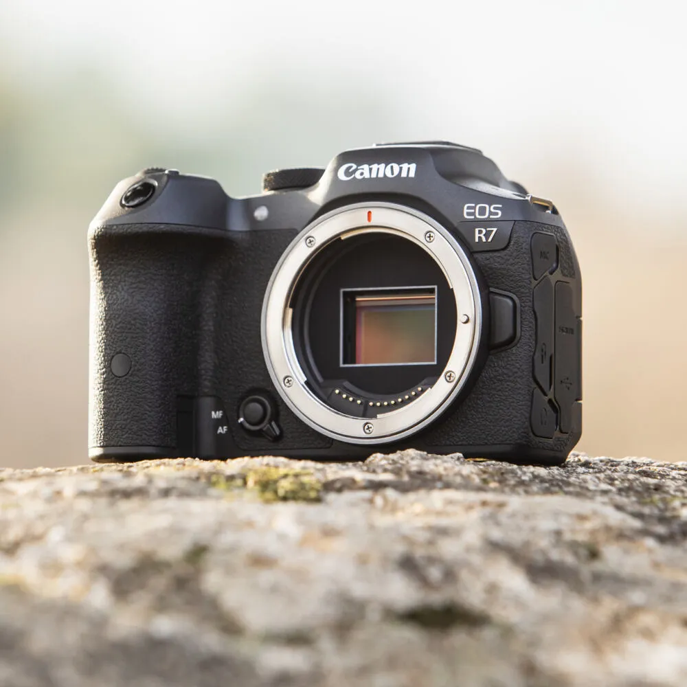 Canon EOS R7 5137C003 Thumbnail 11