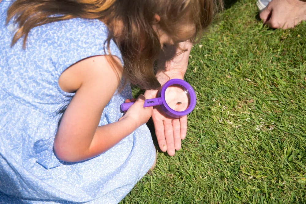Tickit Rainbow Magnifiers 61096 Thumbnail 3