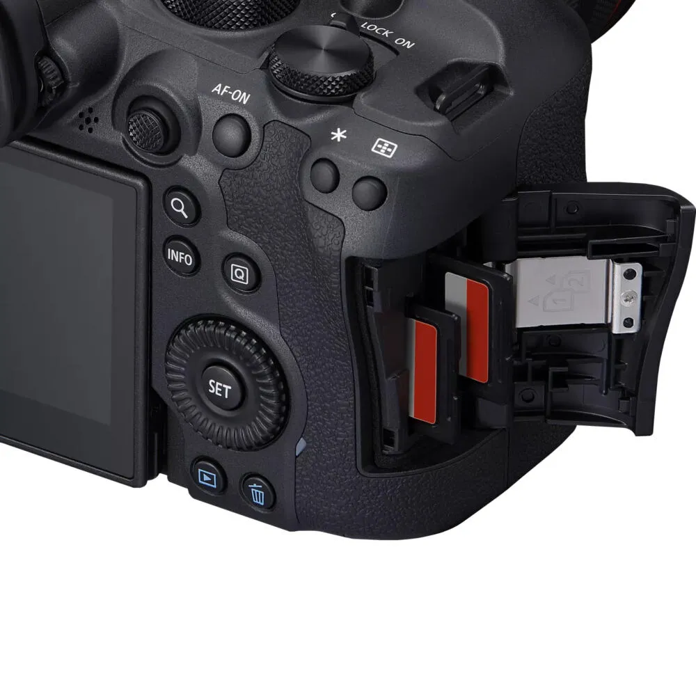 Canon EOS R6 Mark II + RF 24-105mm F4-7.1 IS STM 5666C034 Thumbnail 10
