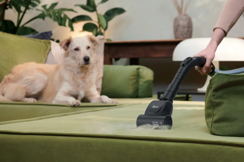Hoover HP120PET 011 39002323 700 W 2 L Toz Torbasız Süpürge Thumbnail 5