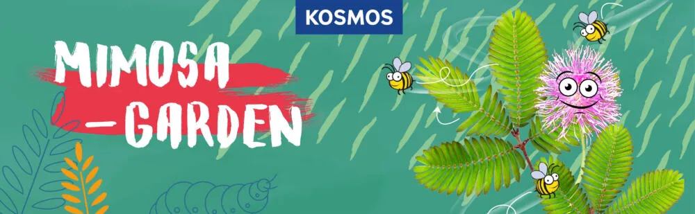 Kosmos 617509 Thumbnail 5