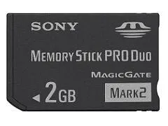 Sony MS-MT2G/NQT hafıza kartı 2 GB