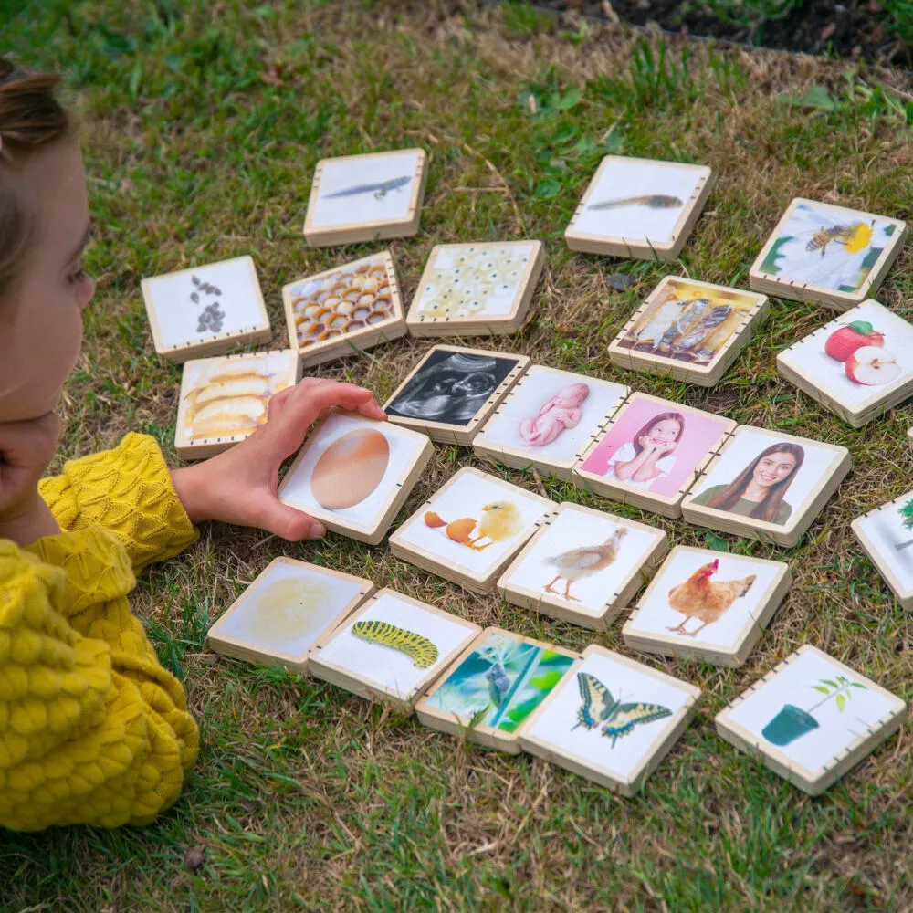 Tickit Wooden Lifecycle Tiles 73522 Thumbnail 3