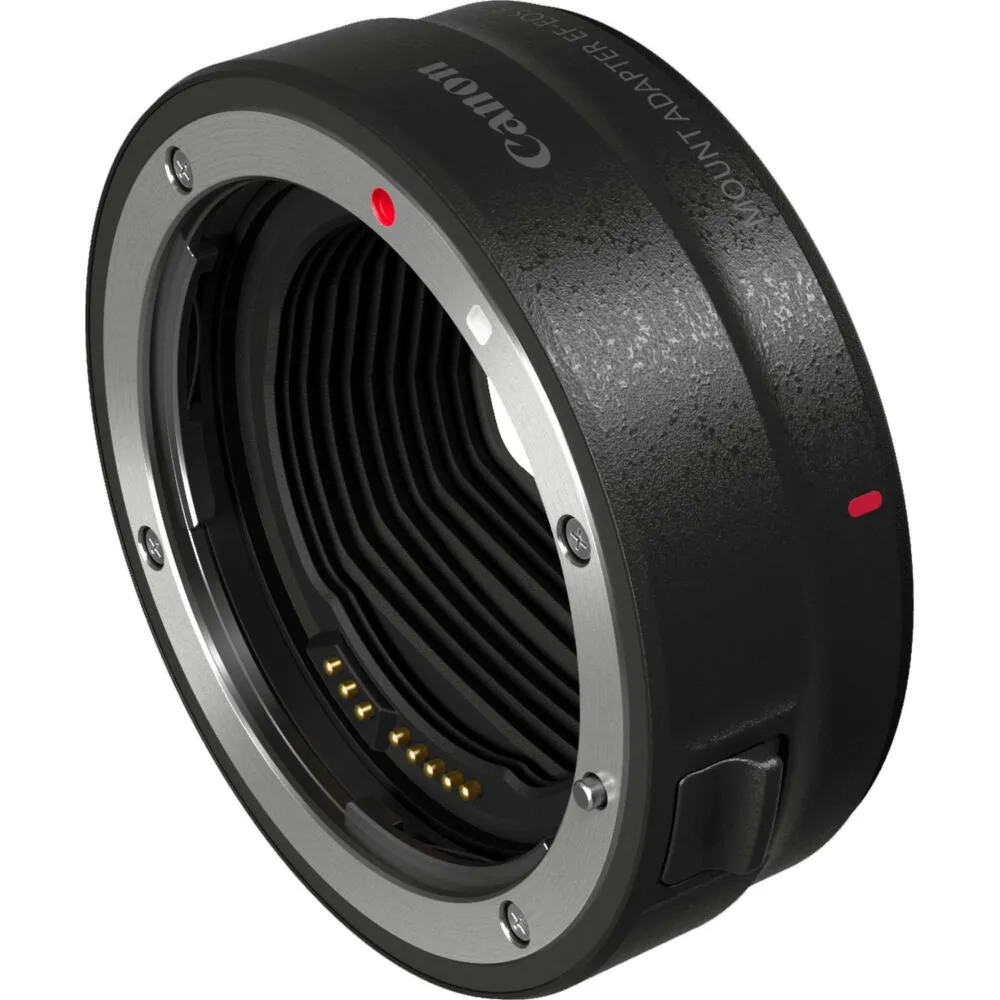 Canon EOS R + EF to RF adapter + RF 24-105mm f/4L IS USM 3075C058 Thumbnail 12