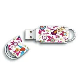 Integral BXPRBIR USB flash sürücü 4 GB A tipi USB 2.0 Çok renkli USB Bellek