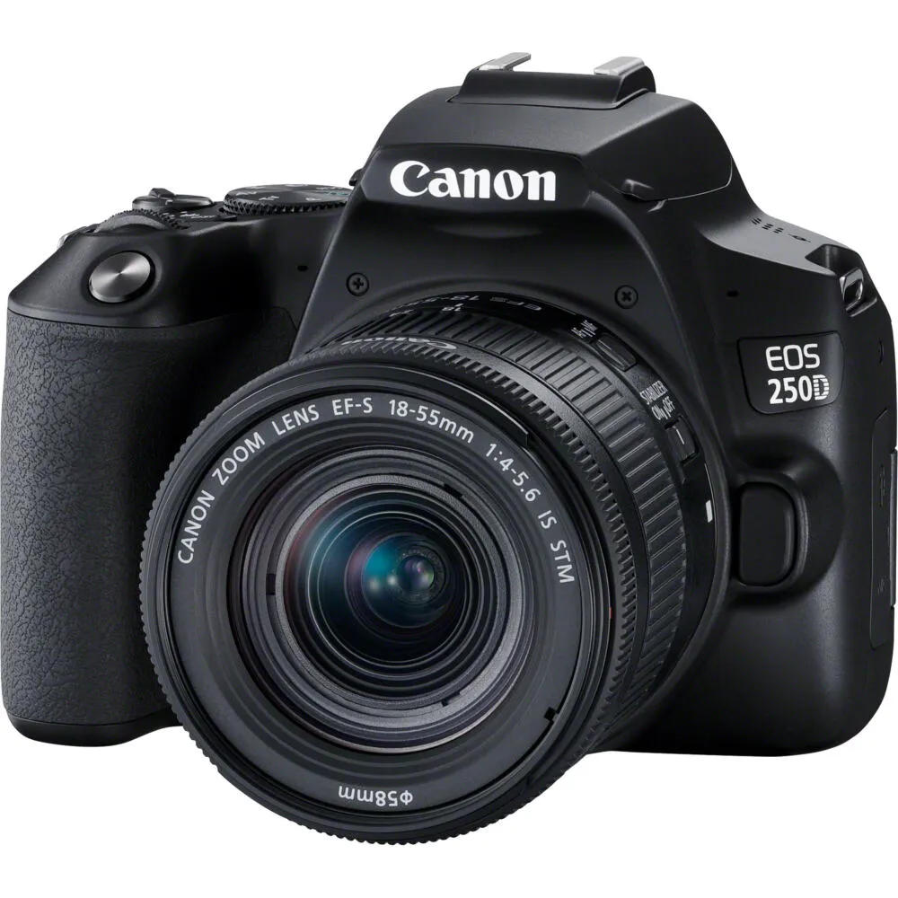 Canon EOS 250D 3454C013 Thumbnail 3