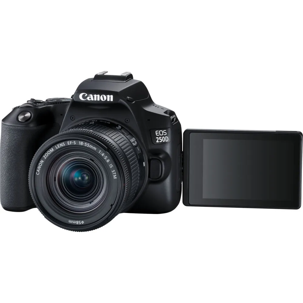 Canon EOS 250D 3454C013 Thumbnail 7