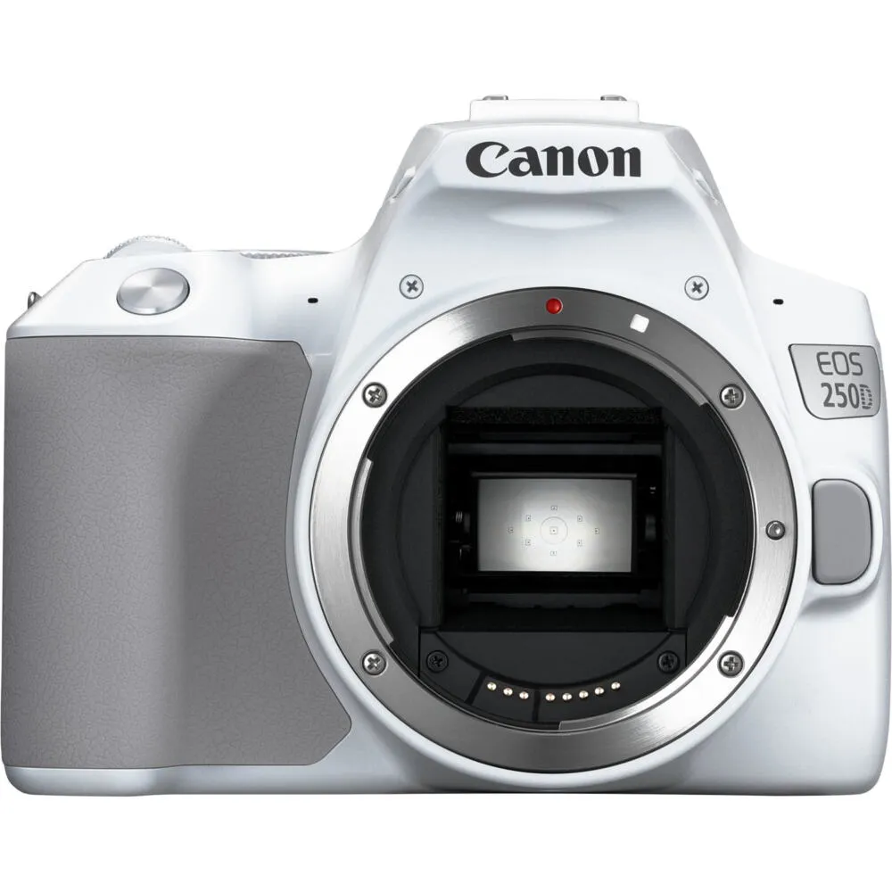 Canon 250D + EF-S 18-55mm f/4-5.6 IS STM 3458C001 Thumbnail 1