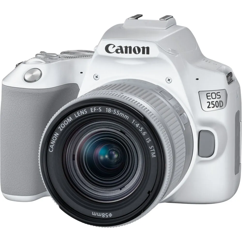 Canon 250D + EF-S 18-55mm f/4-5.6 IS STM 3458C001 Thumbnail 3