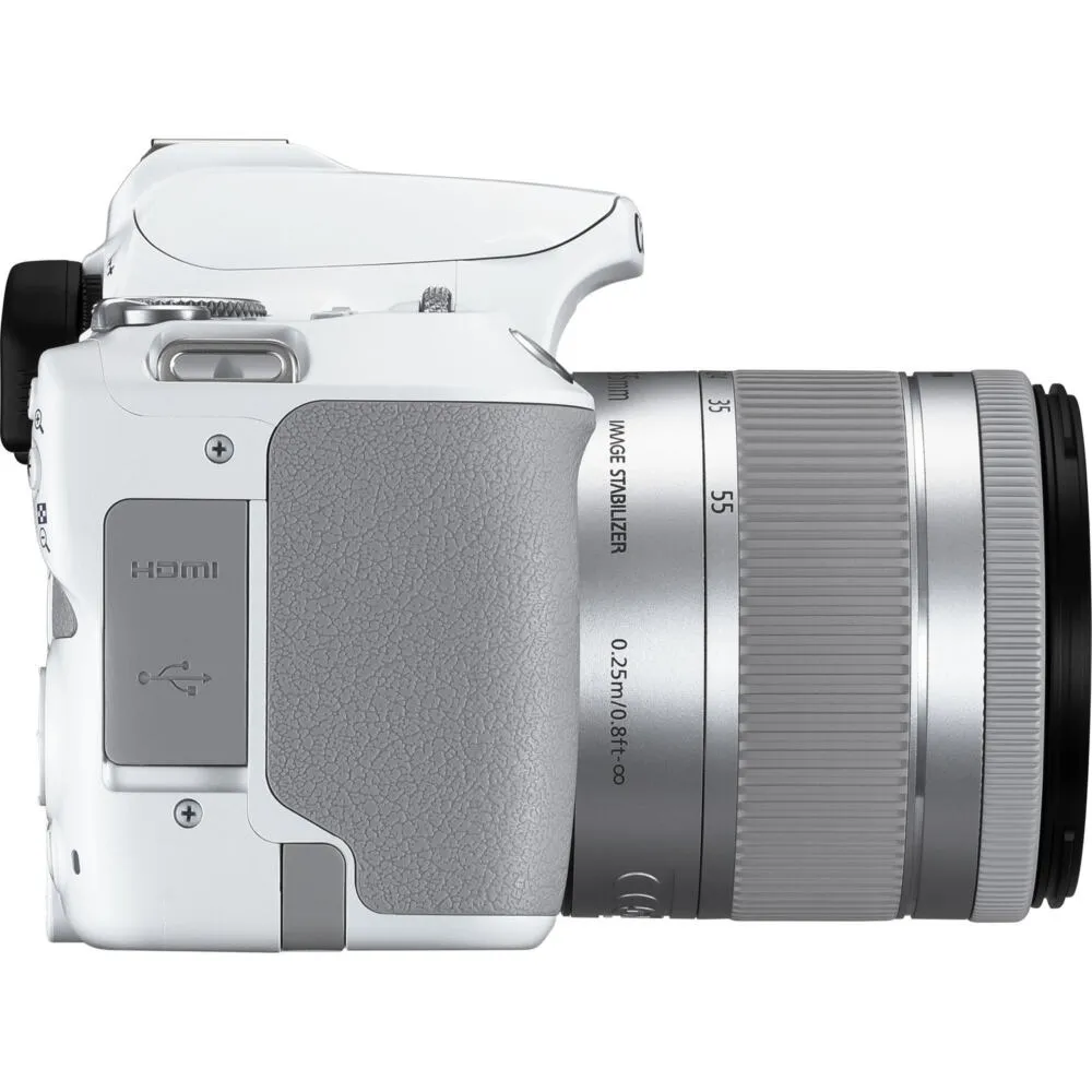 Canon 250D + EF-S 18-55mm f/4-5.6 IS STM 3458C001 Thumbnail 11