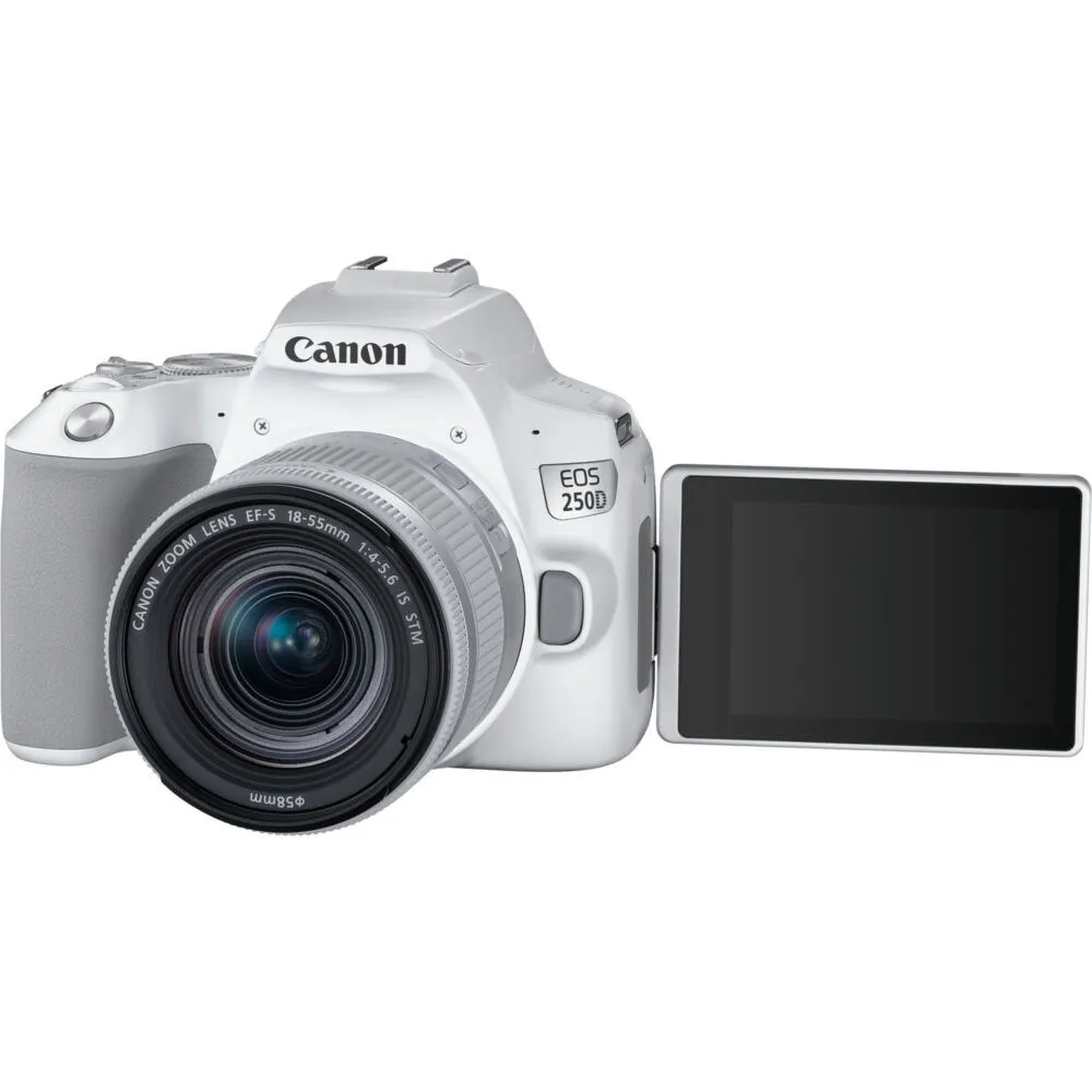 Canon 250D + EF-S 18-55mm f/4-5.6 IS STM 3458C001 Thumbnail 7