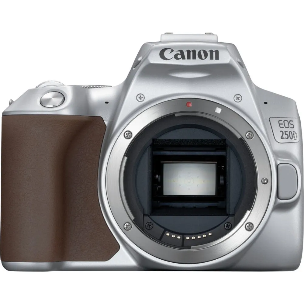 Canon 250D + EF-S 18-55mm f/4-5.6 IS STM 3461C001 Thumbnail 1