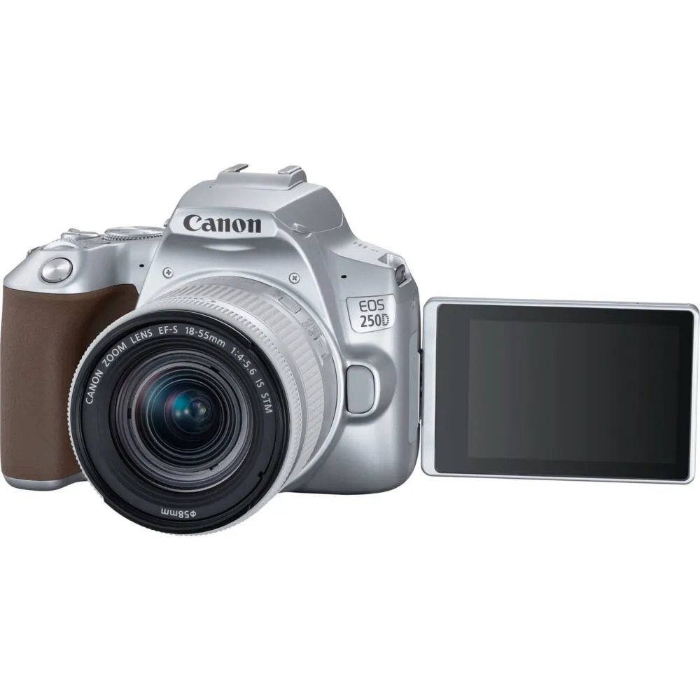 Canon 250D + EF-S 18-55mm f/4-5.6 IS STM 3461C001 Thumbnail 7