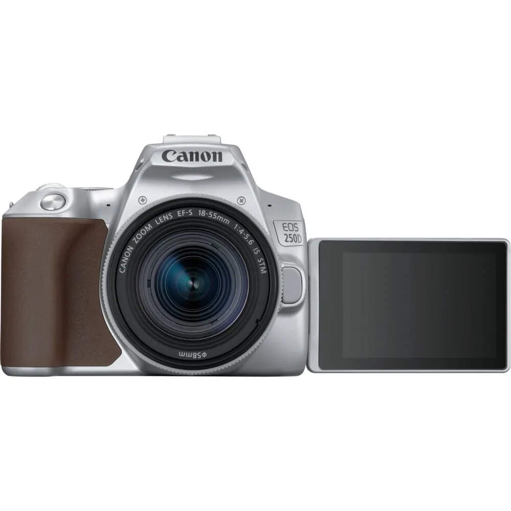 Canon 250D + EF-S 18-55mm f/4-5.6 IS STM 3461C001 Thumbnail 5