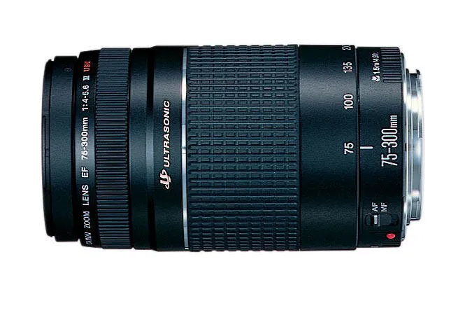 Canon EOS 2000D 18-55 DC + SB130 + 16GB 2728C054 Thumbnail 5