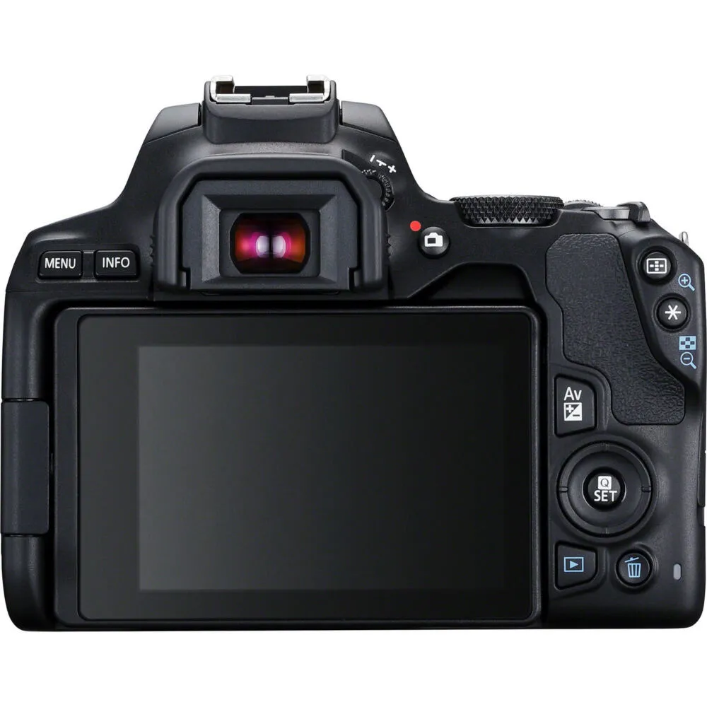 Canon 250D + EF-S 18-55mm f/3.5-5.6 III 3454C003 Thumbnail 9