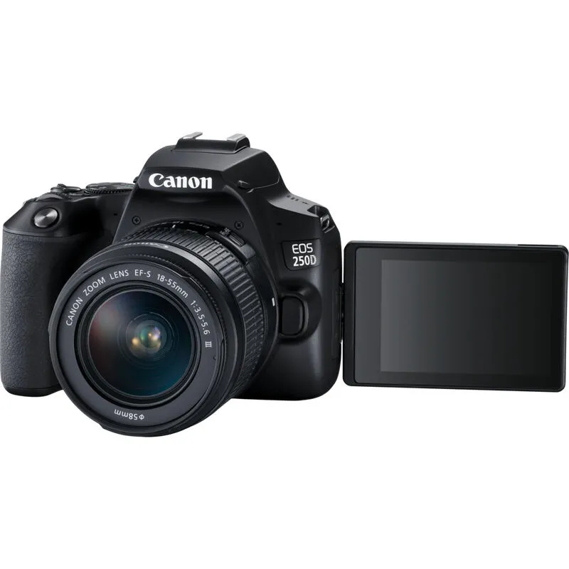 Canon 250D + EF-S 18-55mm f/3.5-5.6 III + EF 75-300mm f/4-5.6 III 3454C016 Thumbnail 7
