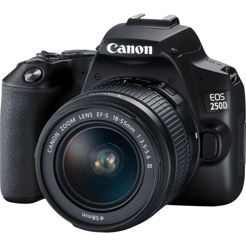 Canon 250D + EF-S 18-55mm f/3.5-5.6 III + EF 75-300mm f/4-5.6 III 3454C016 Thumbnail 3