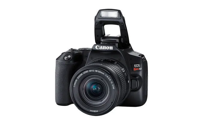 Canon Rebel SL3 + EF-S 18-55mm IS STM 3453C002 Thumbnail 8