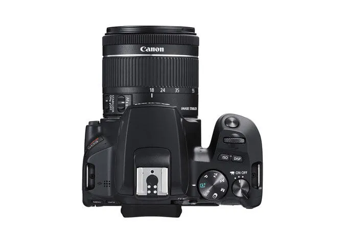Canon Rebel SL3 + EF-S 18-55mm IS STM 3453C002 Thumbnail 14